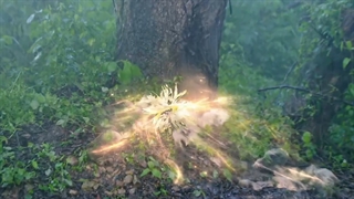 قسمت 28 سمساره جاویدان با زیر نویس فارسی