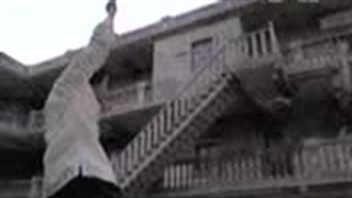 اگه سایتاما کونگ فو بلد بود