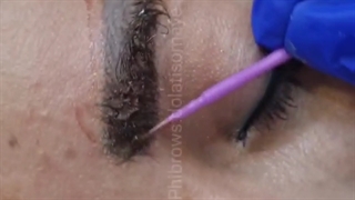 آموزش ریمو ابرو صفر تا صد سمیه دولتی09029451958