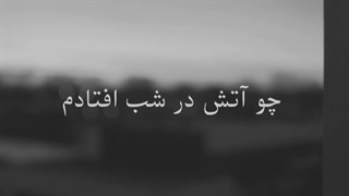 هوشنگ ابتهاج میکرونیدلینگ