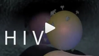 نحوه عملکرد و تکثیر ویروس HIV - زیست یازدهم-مهدی محمد حسین زاده