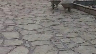 اجرای نصب سنگ لاشه کف 09192861411