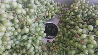 دستگاه آبگیری صنعتی2022