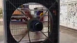 شرکت کولاک فن محاسبه و اجرا کننده انواع فن های گلخانه ای در تهران