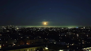 عکس منتشر شده از صفحه شخصی اینستاگرام Park Jimin