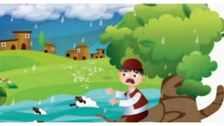 چوپان درستکار درمان سلولیت