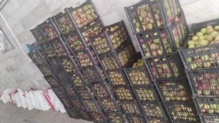 توزیع ارزاق و میوه اهدایی نیکوکار عزیزمان