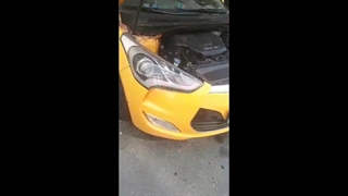 نصب سنسور جلو ولستر-گندم کار