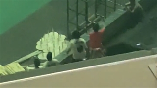 نامجون،جی هوپ،یونجون،بومگیو و تهیون در کنسرت بیلی آیلیش در کره دیده شدن