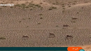 خشکسالی بیش از نیمی از اروپا را تهدید می کند