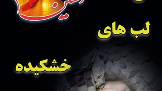 زیارت ناحیه مقدسه ۵