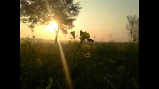 شتر