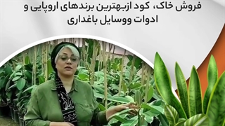 آموزش تکثیر و نگهداری گیاهان