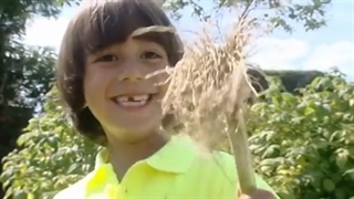 مجموعه انگلیسی من میتونم آشپزی کنم