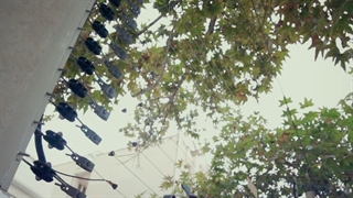 چرا سیستم حفاظتی پیرامونی هوشمند، مقرون به صرفه تر از سیستم های حفاظتی سنتی است ؟