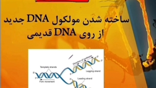 دانلود-رایگان-بخشی-از-ژنتیک