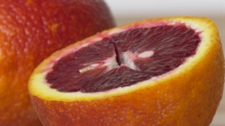 اموزش استفاده از مرکبات در آشپزی