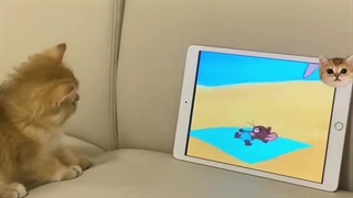 شب و روزگار خوش !:|: