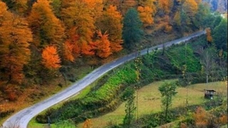 سخنان ناب و ارزشمند