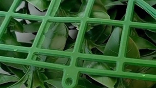 با دیوار سبز مصنوعی دیوارتو تزئین کن