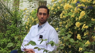 ایمپلنت دندان چیست؟ | کلینیک دریا 22