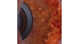 با این دستور تهیه هند را  به خانه خود ببرید