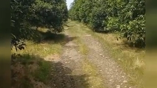 (عوامل مهم در موفقیت باغدار)