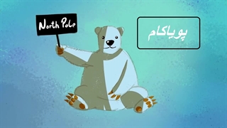 قطب شمال یا جنوب؟