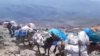 قاطرها را از دماوند جمع کنید