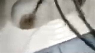 لوله بازکنی شبانه روز