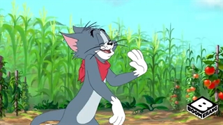 انیمیشن تام و جری چند تا جری ؟؟ کارتون تام و جری جدید کینگ مدیا