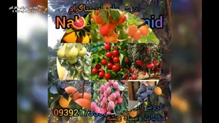 نهالستان امید در علی آباد کتول