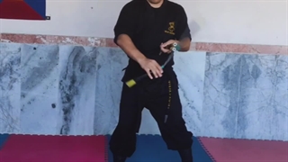 تکنیک حرفه ای نانچیکو از سنسی اسماعیل ظریف