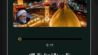 میزان مقام زائران امام حسین چقدر است؟