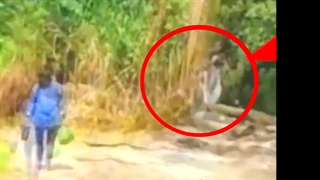 5 ویدئو از ارواح