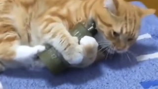 گوربه و نارنجک