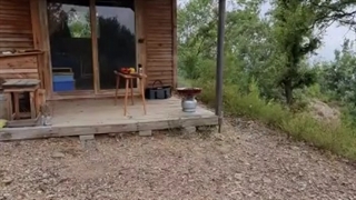 غذاهایه ستنی