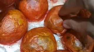 گوجه کبابی برای سس پیتزا با فر ریلی