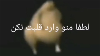 حرفی با عزیزان در مورد بی تی اس و فحاشی و بیان بعضی استدلالات غلط آرمی ها در توضیحات