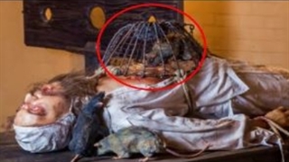 بدترین روش های شکنجه در تاریخ