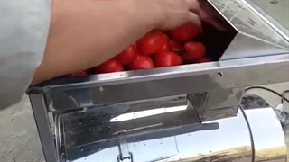 دستگاه آب گیری گوجه اتوماتیک استیل 09190951876