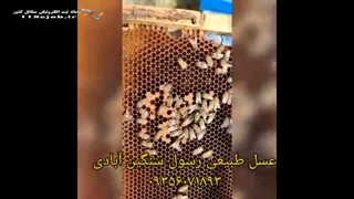 عسل طبیعی رسول سنگین آبادی در سنندج