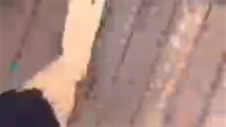 من هی میگمهمجا ایرانی بگید نه......
