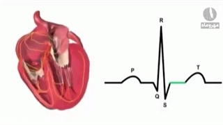 انیمیشن-جالب-زیست-شناسی+09044686613 پکیج ژنتیک کنکور