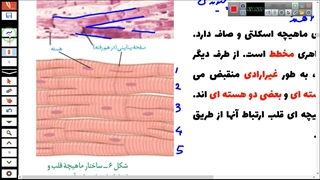 فیلم تدریس شبکه هادی قلب و صدا های قلبی-نوار قلب-گفتار 1 قسمت آخر