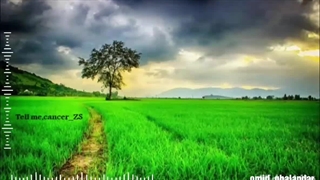 کلیپ عکس نوشته/ امید/ قلندر