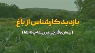 (و دکتر احمد رئوفی در (شبکه آموزش) صدا و سیما) کربوکسی تراپی