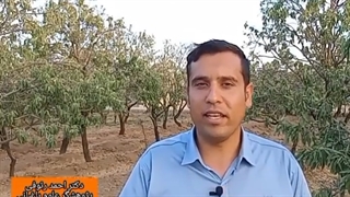 (راهکار های مقابله با کم آبی)