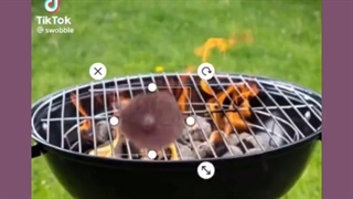 این چی بود من دیدم 