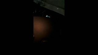 تعویض قاب توری سانتافه-گندم کار